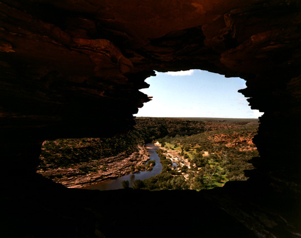 Nature's Window