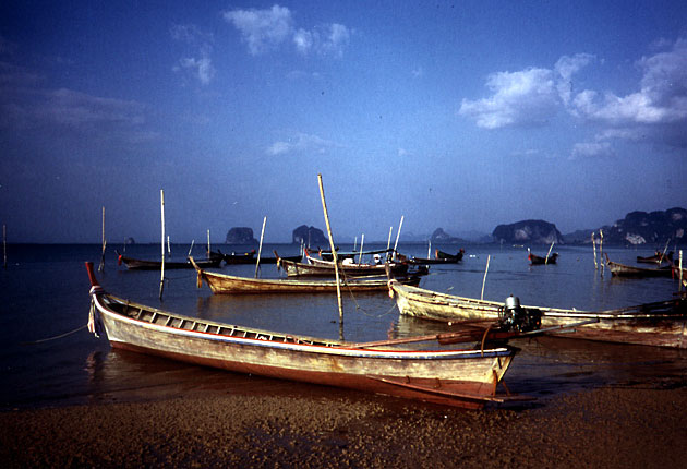 Thai Boats